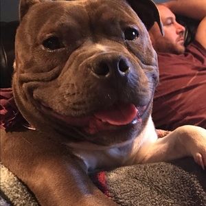 Meet your Posher, Shawna